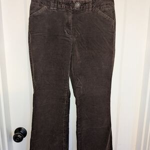Petite Sophisticate Dark Brown Corduroy Flare Jeans